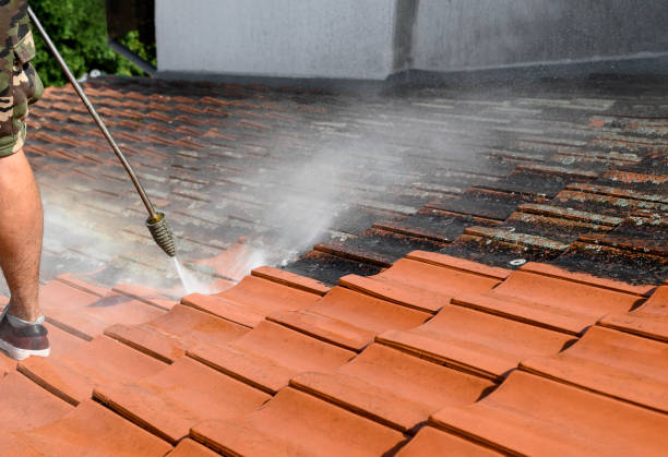 Best Sidewalk Pressure Washing  in Avon Park, FL