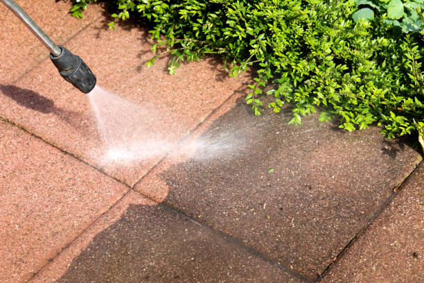 Best Residential Pressure Washing Services  in Avon Park, FL